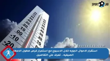 استقرار الأحوال الجوية خلال الأسبوع مع استمرار فرص هطول الأمطار الصيفية.. تعرف على التفاصيل